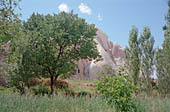 Cappadocia, the Rose valley
